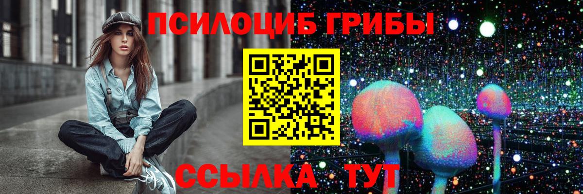 купить наркотики сайты  Вход с VPN  Коломна  Галлюциногенные грибы GOLDEN TEACHER  Псилоцибиновые грибы мухоморы 