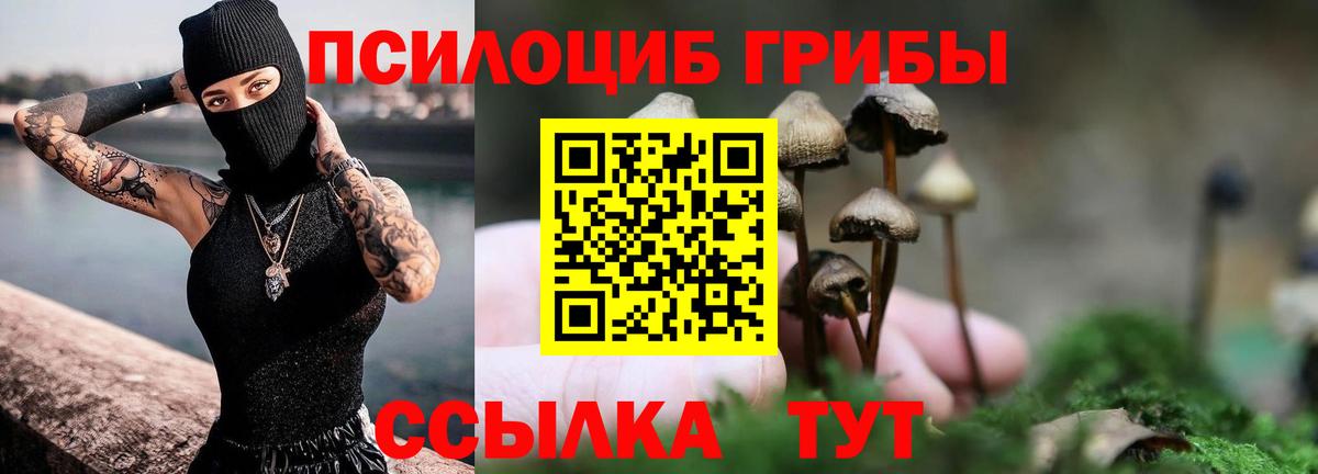 Псилоцибиновые грибы GOLDEN TEACHER Коломна